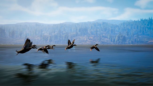 Hunting Simulator 3