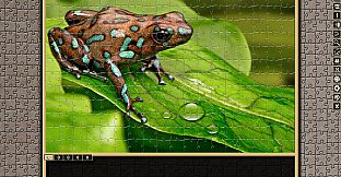 Pixel Puzzles Traditional Jigsaws Pack: Frogs