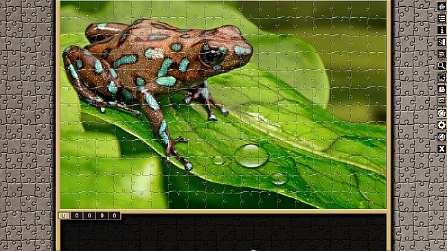 Pixel Puzzles Traditional Jigsaws Pack: Frogs