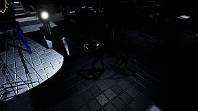 Shards of the Mirror