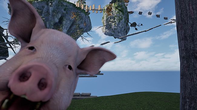 Piggy Only Up