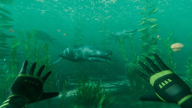 Paleo Dive