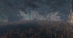 maze to the old castle