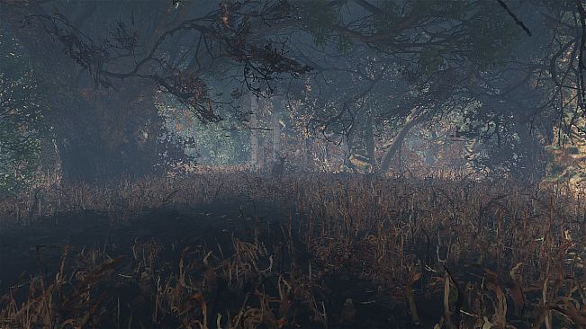 maze to the old castle