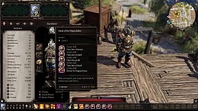 Divinity: Original Sin 2 - Definitive Edition