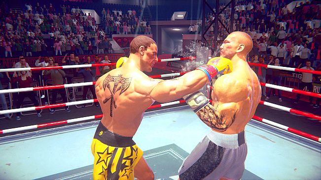 Casual Sport Series: Boxing