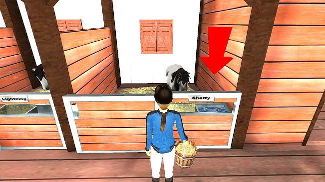 Rider's World: I Want To Ride!