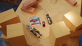 Die-Cast Driver & Collector