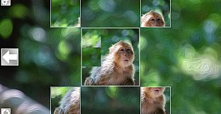 Puzzle Art: Primates