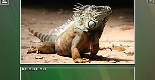 Super Jigsaw  Puzzle: Generations - Random Puzzles