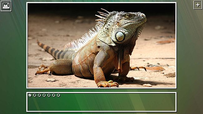 Super Jigsaw  Puzzle: Generations - Random Puzzles