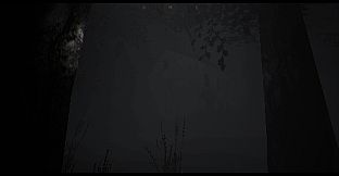 The House In The Woods