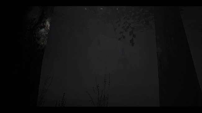 The House In The Woods