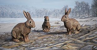 PROJECT HUNT - MANCHURIAN TAIGA