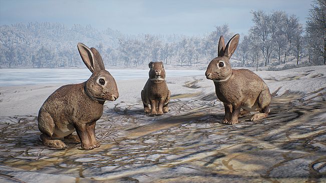 PROJECT HUNT - MANCHURIAN TAIGA