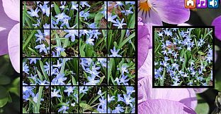 OG Puzzlers: Spring 2K24