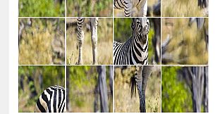 ZebraPuzzle.hgm