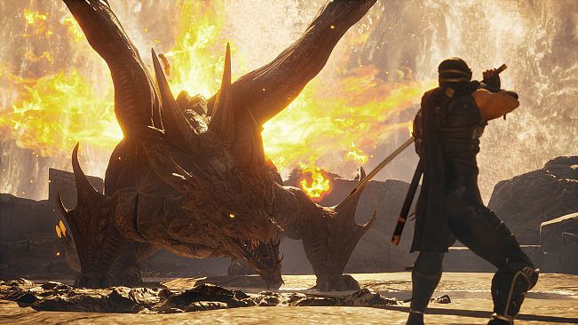 NINJA GAIDEN 2 Black