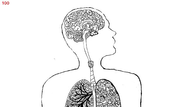 Let's Find Cats Inside the Human Body