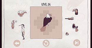 Birds Organized Neatly