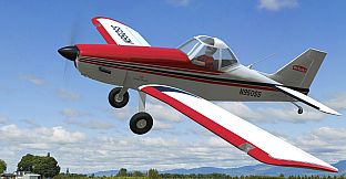 RealFlight Evolution - Hangar 9 Pawnee Brave 20cc