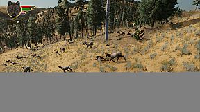 WolfQuest: Anniversary Edition