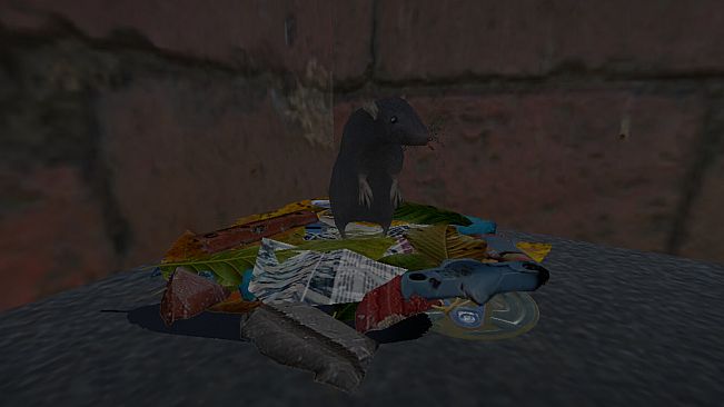Sewer Rat