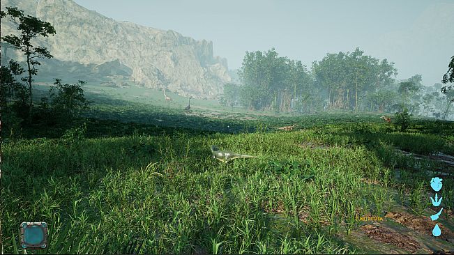 Evolution Of The Ancients