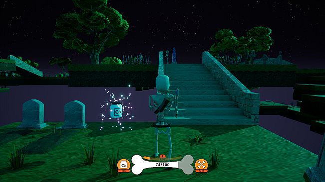 Bony Bones Adventures