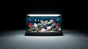 Sea Aquarium Screensaver