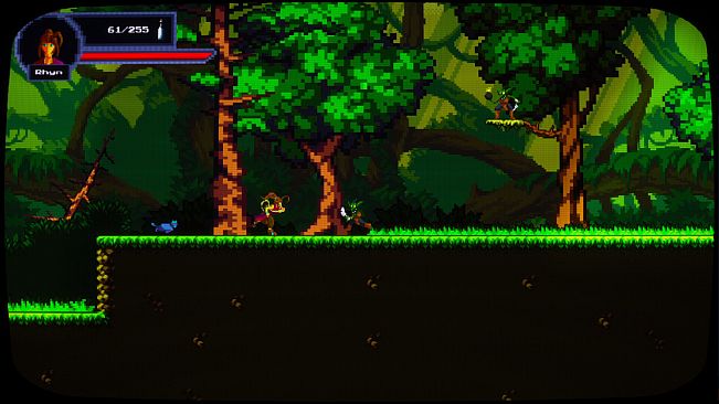 Meowstery of a Growing Aurora