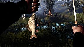 Professional Fishing