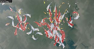 Tranquil Koi 鯉の池