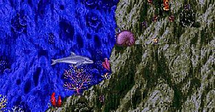 Ecco the Dolphin