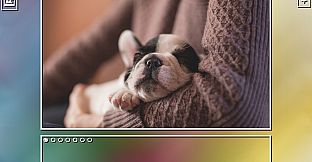 Super Jigsaw Puzzle: Generations - Puppies Puzzles