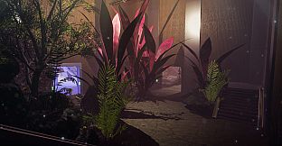 NearPrime VR - Net Burn