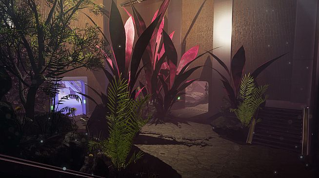 NearPrime VR - Net Burn