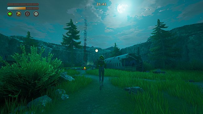 Quiet Grove: Lost in the Fog