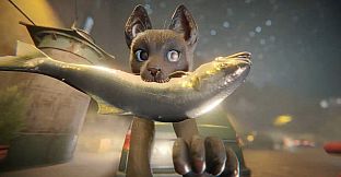 Catropolis
