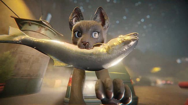 Catropolis