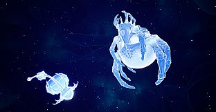 Lifecycles of the Traveler Spider