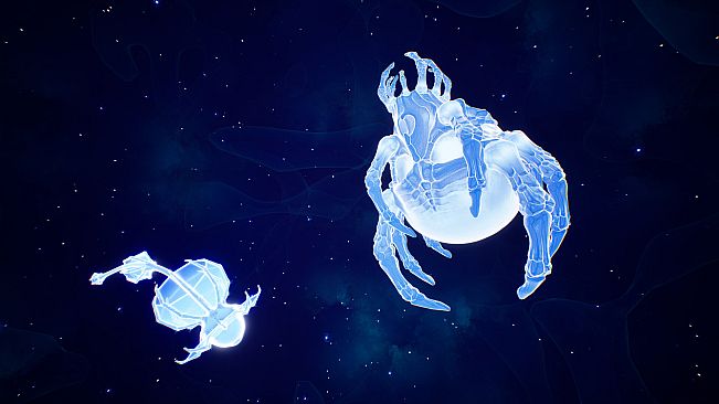 Lifecycles of the Traveler Spider