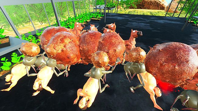 Frenzy Freak Fantasy