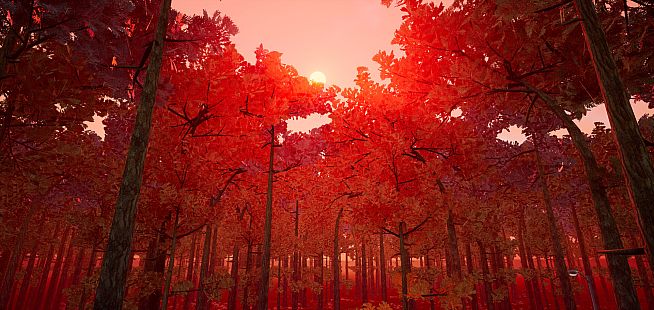 BrVR Backrooms Virtual Reality