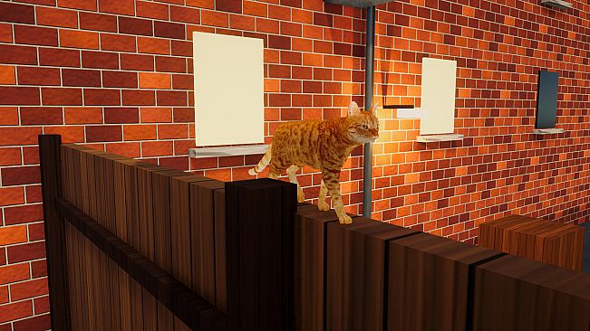 CatMischief