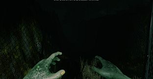 Eclipse Anomaly Research - Swamp of Insanity