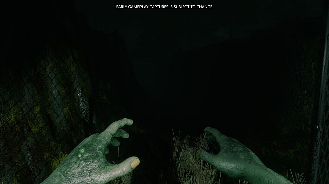 Eclipse Anomaly Research - Swamp of Insanity