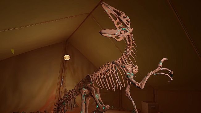 Fossil Diggers VR