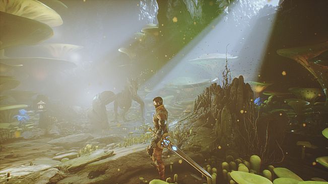 The Handler of Dragons