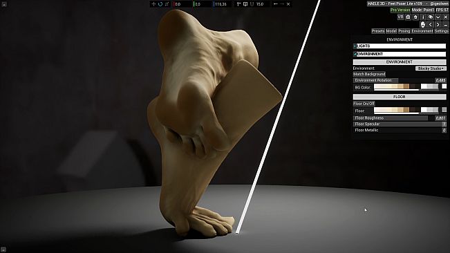 HAELE 3D - Feet Poses Lite - Drawing References
